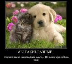 Ігор Крисенко фотография #45 (источник - https://vk.com/id64899113)