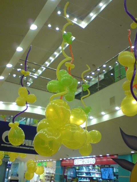 Илья Шестаков фотография #48