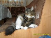 Фотография Калагиной Александры