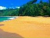 Ірина Вітовщик фотография #34 (источник - https://vk.com/id36403117)