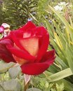 Сергій Тур фотография #10 (источник - https://vk.com/id143287661)