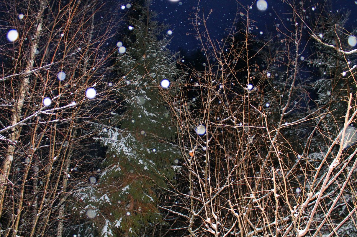 Дарья Базанова фотография #20