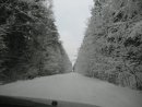 Максим Борис фотография #44 (источник - https://vk.com/id13718266)
