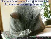 Фотография Янковской Светланы