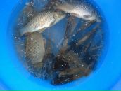 Віталік Скриник фотография #47 (источник - https://vk.com/id9934039)