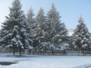 Віталя Борзіховський фотография #23 (источник - https://vk.com/id46580193)
