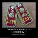 Игорь Нарбеков фотография #3 (источник - https://vk.com/id36341067)