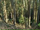 Дмитрий Евсюткин фотография #42 (источник - https://vk.com/id153219767)
