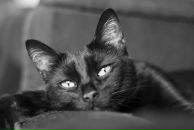 Фотография Вадбольской Ирины