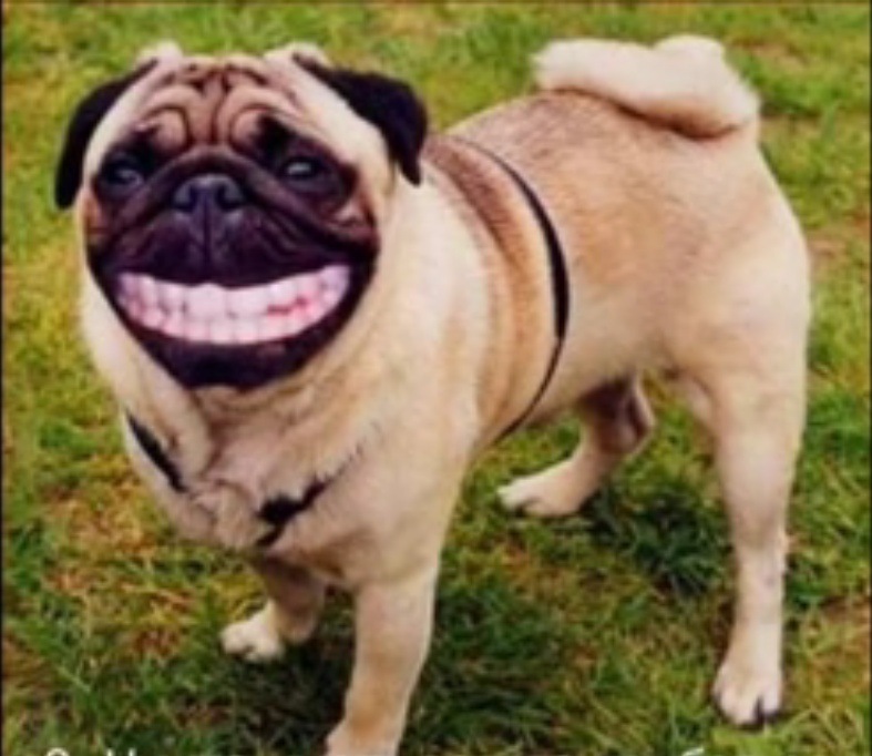 Дима Подзерка фотография #14