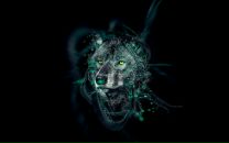 Фотография Старской Дины