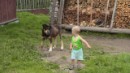 Вова Чайківський фотография #7 (источник - https://vk.com/id67619958)
