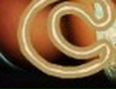 Сашенька/би/ Емо=)) фотография #32 (источник - https://vk.com/id87339210)