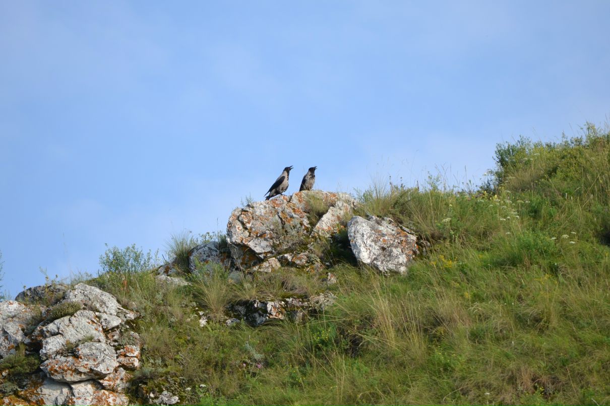 Константин Басалаев фотография #30