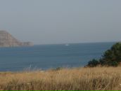 Марічка Савченко фотография #39 (источник - https://vk.com/id24080939)