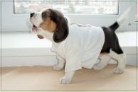 Катрина Grom фотография #8 (источник - https://vk.com/id245462)