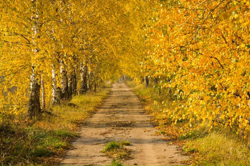 Дмитрий Клочков фотография #32