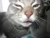 Фотография Регги Просто