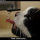 Наташусік Пусік фотография #1