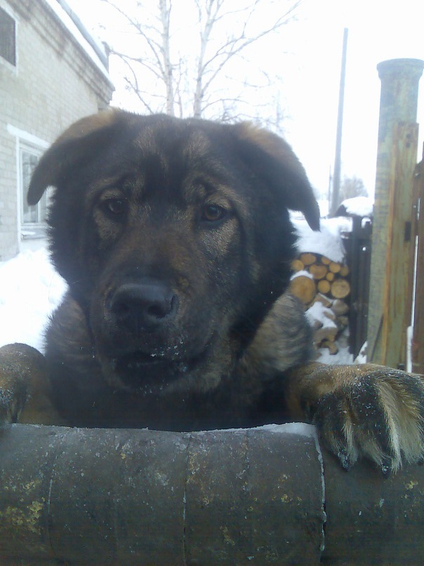 Егор Шалаев фотография #17