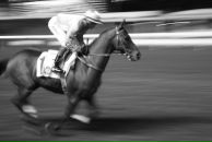 Оксана Девочкина фотография #33 (источник - https://vk.com/id521916)