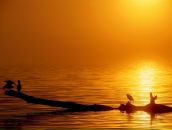 Фотография Лукина Романа