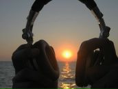 Фотография Стефанова Дмитрия