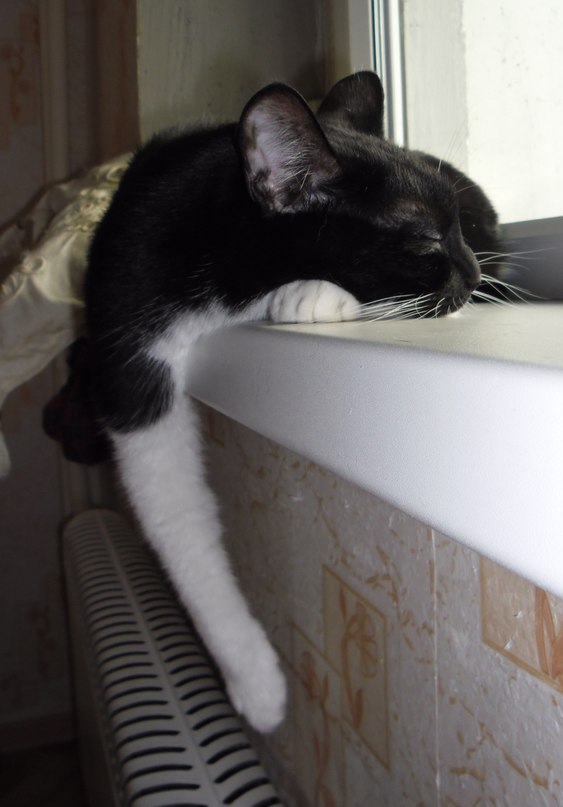 Марина Евстигнеева фотография #32