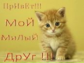 Лєна Жигадло фотография #34 (источник - https://vk.com/id110283652)