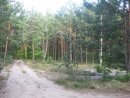Юрік Переломов фотография #39 (источник - https://vk.com/id28302826)
