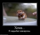 Костянтин Огороднік фотография #39 (источник - https://vk.com/id11103382)