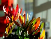 Ім'я Прізвище фотография #40 (источник - https://vk.com/id22746251)