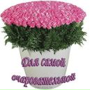 Ілюша Попюк фотография #33 (источник - https://vk.com/id148064056)
