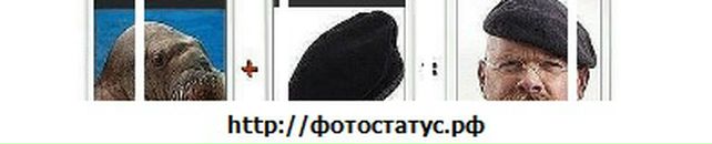 Євген Білаус фотография #25 (источник - https://vk.com/id30470355)