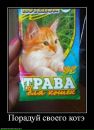 Міша Білошицький фотография #48 (источник - https://vk.com/id125383819)