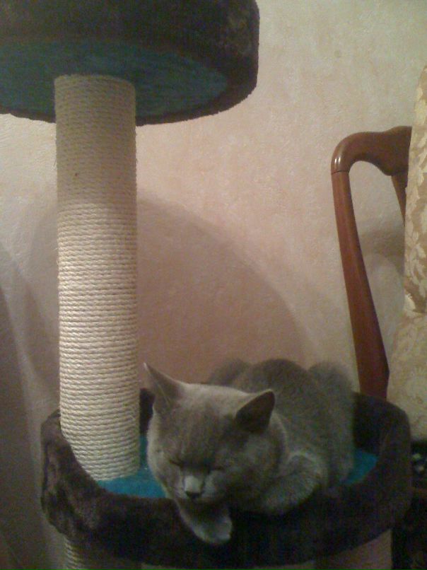 Евгений Упитер фотография #36