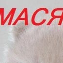 Олексій Карлов фотография #31 (источник - https://vk.com/id154805459)