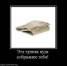  фотография #32
