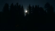 Дмитрий Крамарев фотография #26 (источник - https://vk.com/id274882)