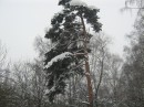 Фотография Тереховой Ольги