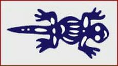 Фотография Сучкова Евгения