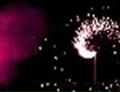 Евеліна Миколайчук фотография #22 (источник - https://vk.com/id65572400)