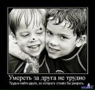 Денис Чириков фотография #9 (источник - https://vk.com/id9476982)