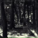 Фотография Елисеева Ксения