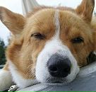 Фотография Сазоновой Юлии