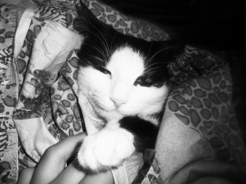 Julia Parhomenko фотография #20