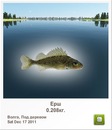 Ліля Вівчар фотография #2 (источник - https://vk.com/id151073224)