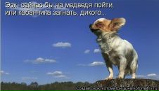 Фотография Ефимовой Юлии