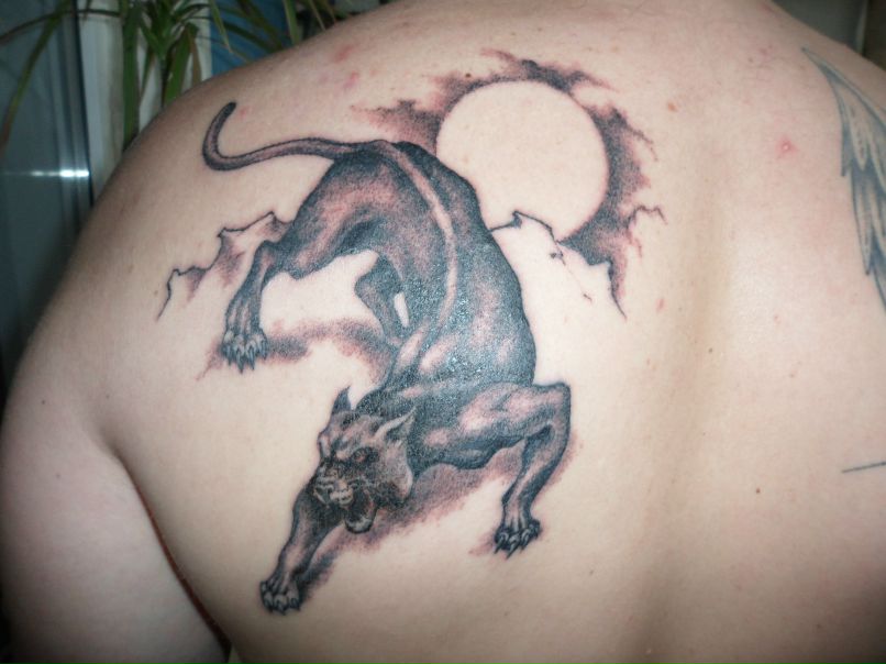 Дмитрий Лукьянов фотография #11