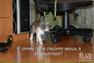 Ігор Зозуляк фотография #14 (источник - https://vk.com/id125727419)